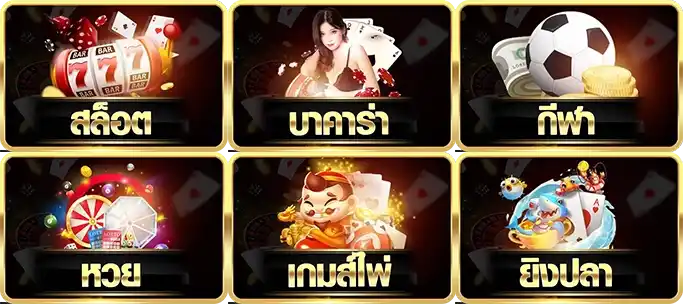 p o k p g แตกง่าย